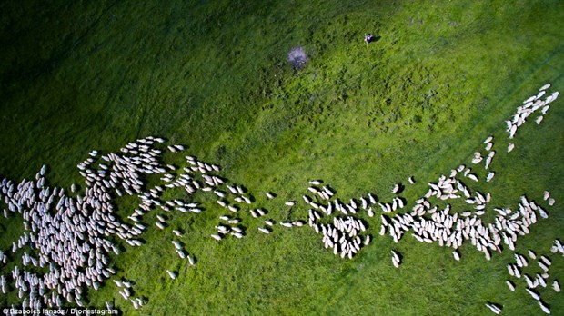 İşte en iyi drone fotoğrafları - 1