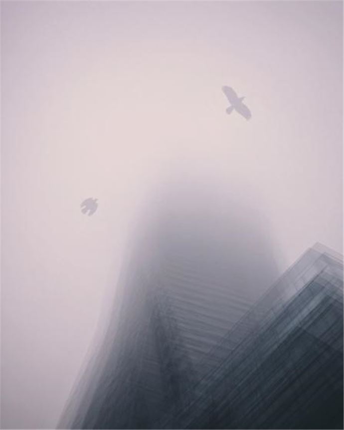 iPhone fotoğraf ödülleri 2016 - 6