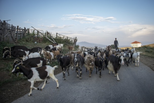 Makedonya'nın yörük Türkmenleri - 12