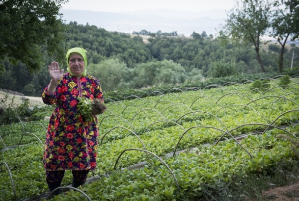 Makedonya'nın yörük Türkmenleri - 7
