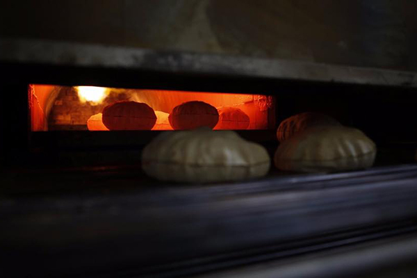 Reyhanlı ekmek fabrikası - 804