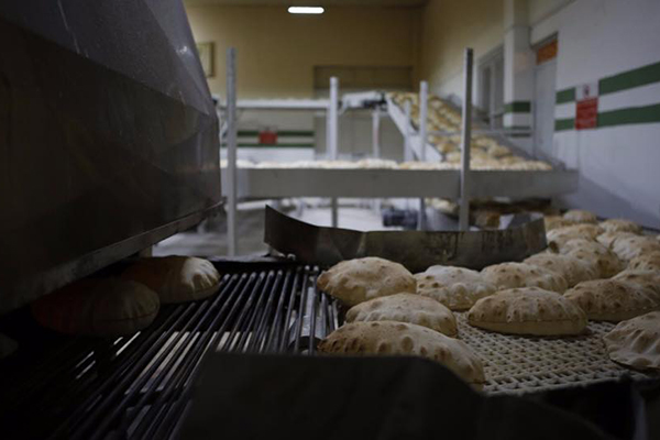 Reyhanlı ekmek fabrikası - 694