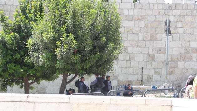 Kudüs'ten silinemeyen Osmanlı izi - 13