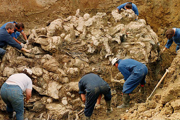 Srebrenitsa soykırımının 20.yılı - 10