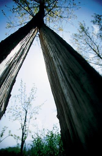 Marmara depreminin 17. yılı - 74