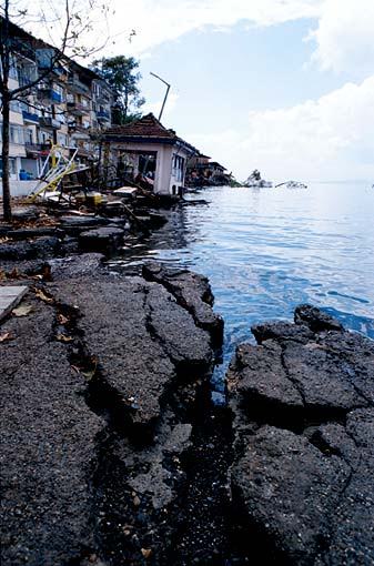 Marmara depreminin 17. yılı - 46