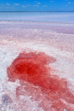 Tuz Gölü kıpkırmızı oldu - 8