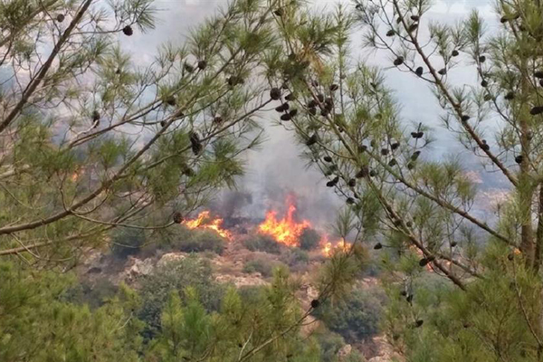 Mersin alev alev yanıyor - 2