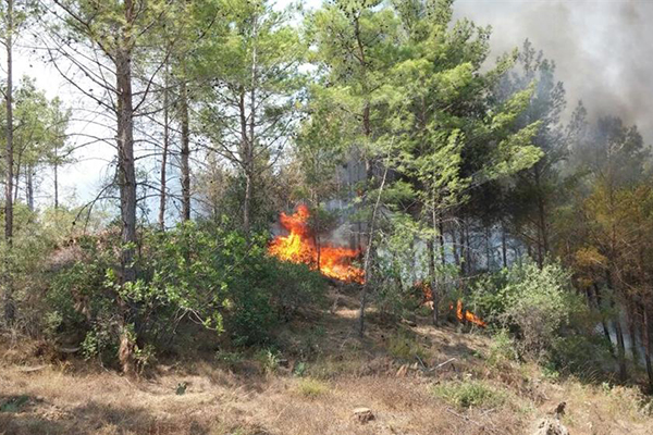 Mersin alev alev yanıyor - 7