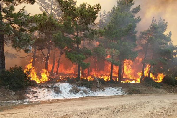 Mersin alev alev yanıyor - 5