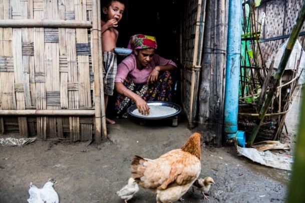 Rohingya Müslümanlarının yaşam mücadelesi - 9