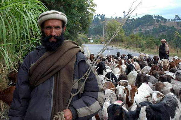 Himalaya eteklerinde binlerce Türk - 9