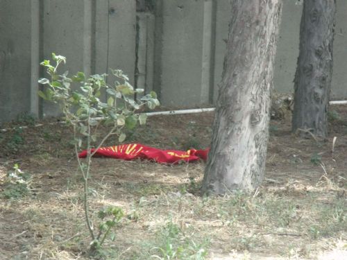 Star Medya Grubu'na bombalı saldırı - 668