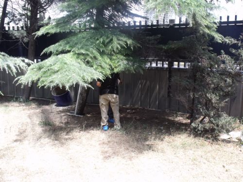 Star Medya Grubu'na bombalı saldırı - 764