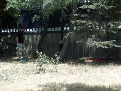 Star Medya Grubu'na bombalı saldırı - 584