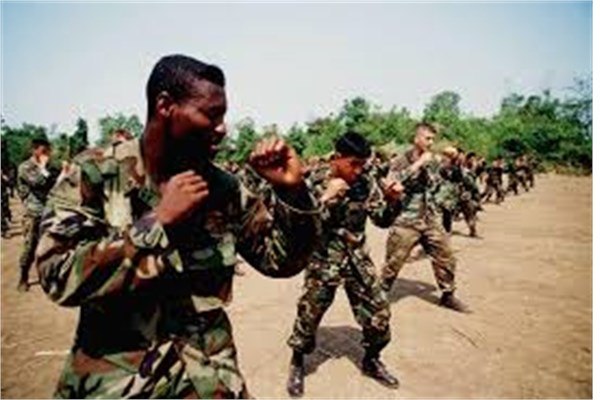 Dünyanın en güçlü 35 ordusu - 24