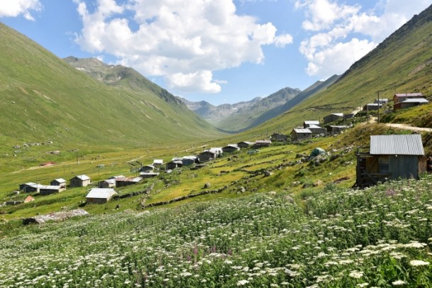 Karadeniz yaylalarının güzelliği - 7