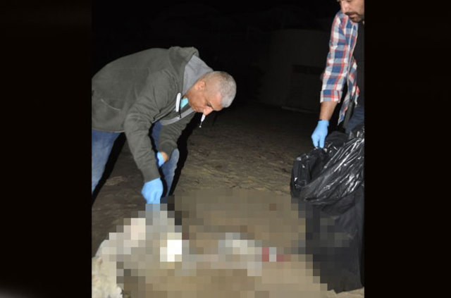 Kuşadası sahilinde çocuk cesedi bulundu - 5