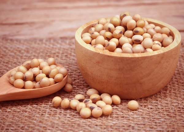 Çok yağlı ama bir o kadar da sağlıklı yiyecekler - 3