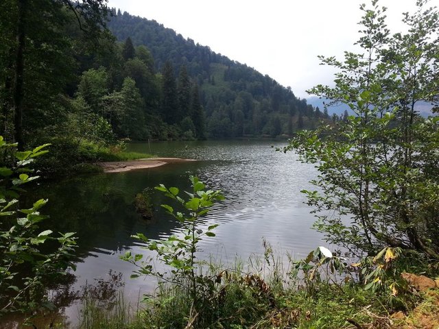 Türkiye'nin en kalabalık ilçeleri - 2
