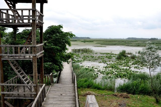 Türkiye'nin en kalabalık ilçeleri - 37