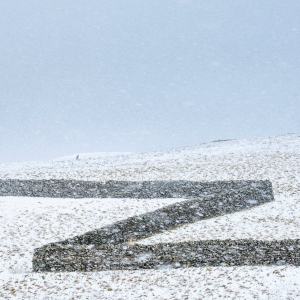 2016'nın ödüllü doğa fotoğrafları - 576