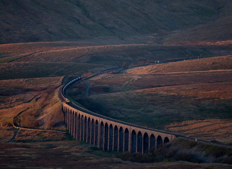 2016'nın ödüllü doğa fotoğrafları - 631