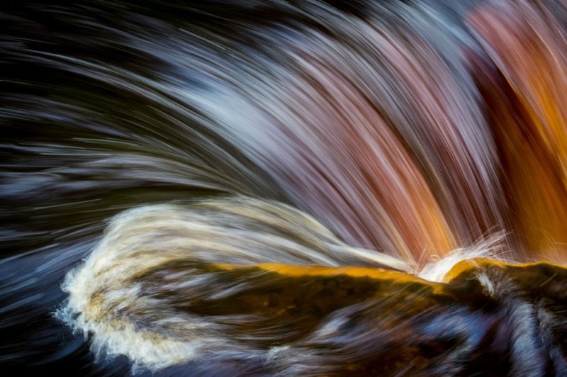 2016'nın ödüllü doğa fotoğrafları - 549