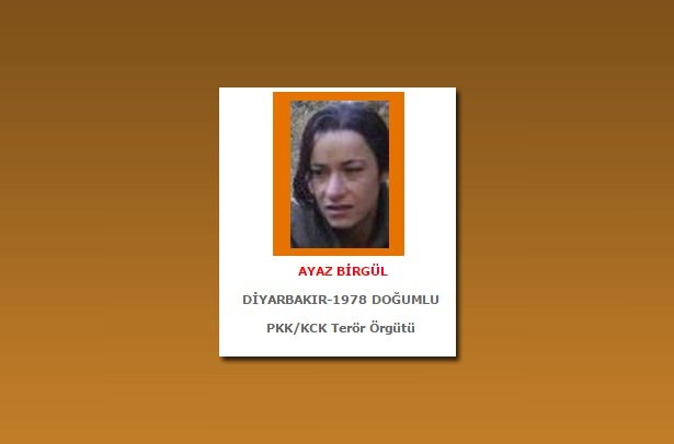 İçişleri Bakanlığı arananlar listesini yayınladı - 162