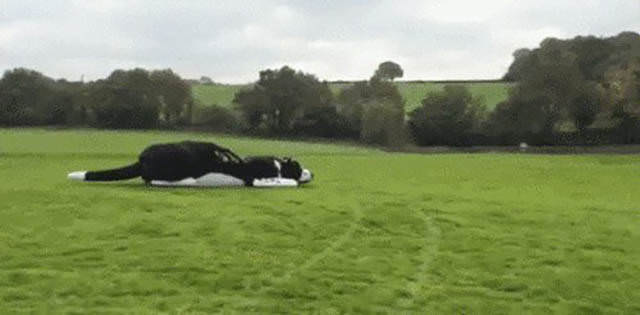 Yolların en garip araçları - 584