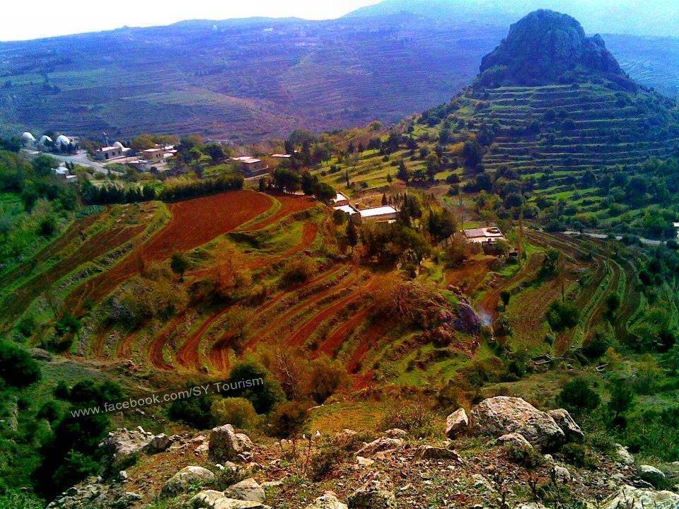 Savaş öncesi Suriye - 801