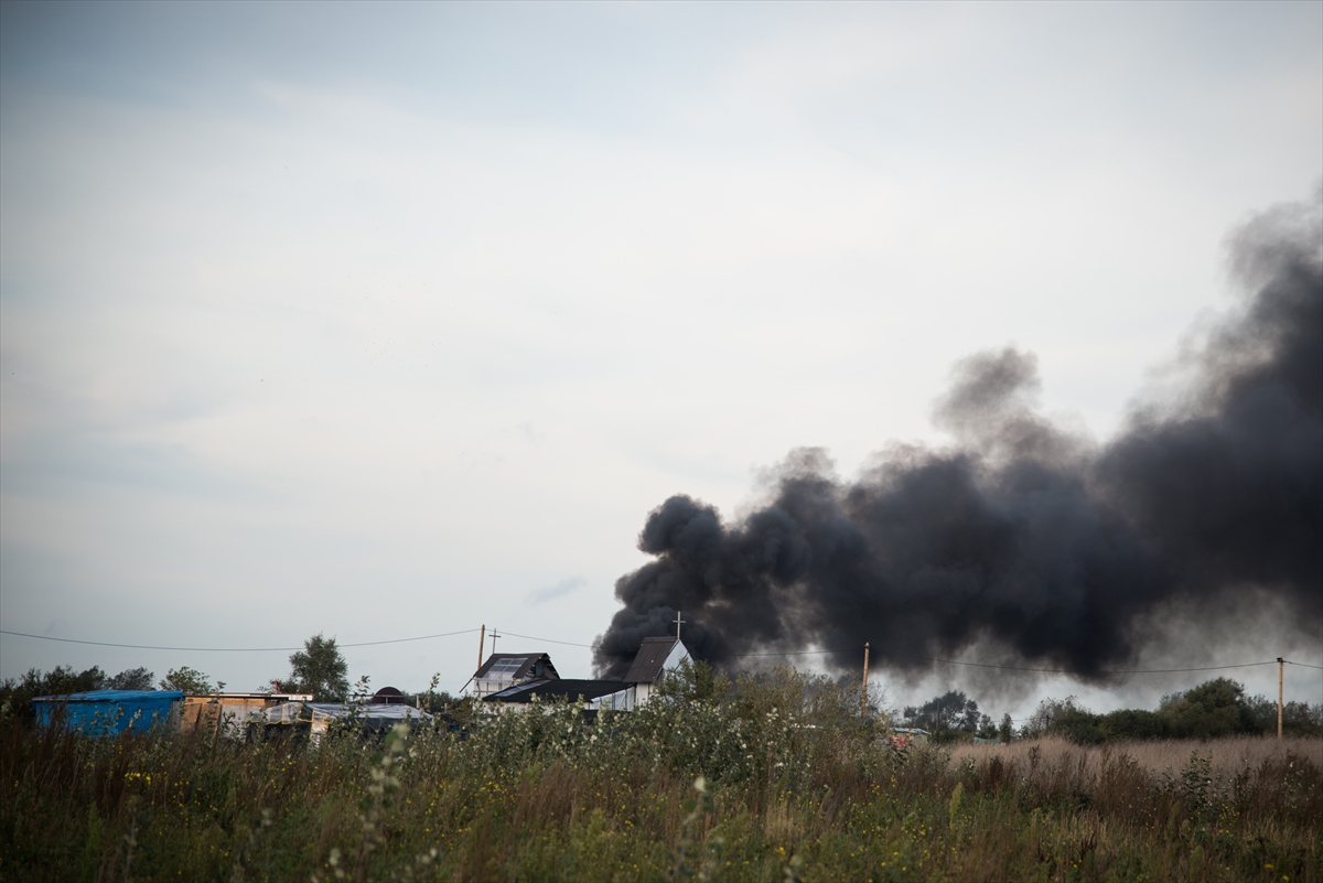 Jungle'nin tahliyesi 4. gününde - 809