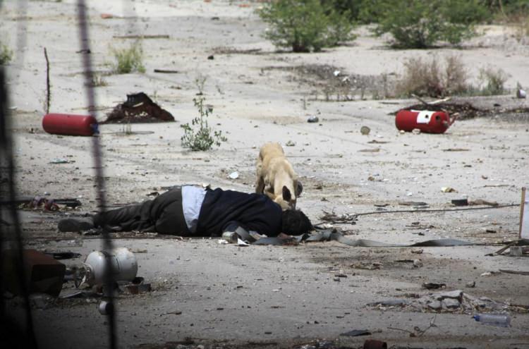 Suriye'de sığınak yapımı hız kazandı - 16