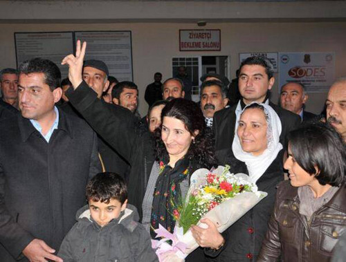 HDP'li vekillerin gözaltına alınma gerekçeleri - 10