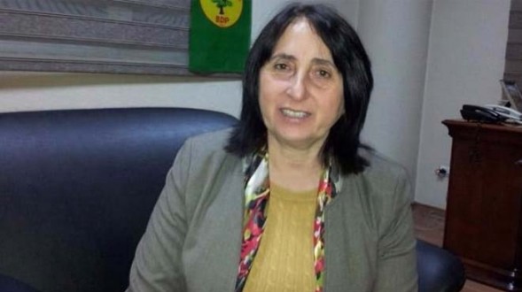 HDP'li vekillerin gözaltına alınma gerekçeleri - 11