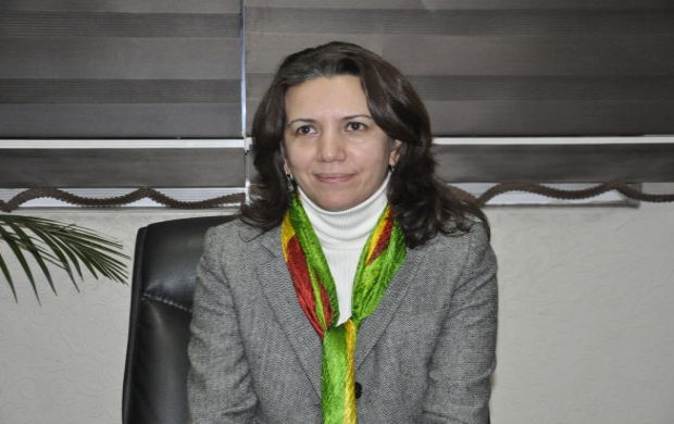 HDP'li vekillerin gözaltına alınma gerekçeleri - 5