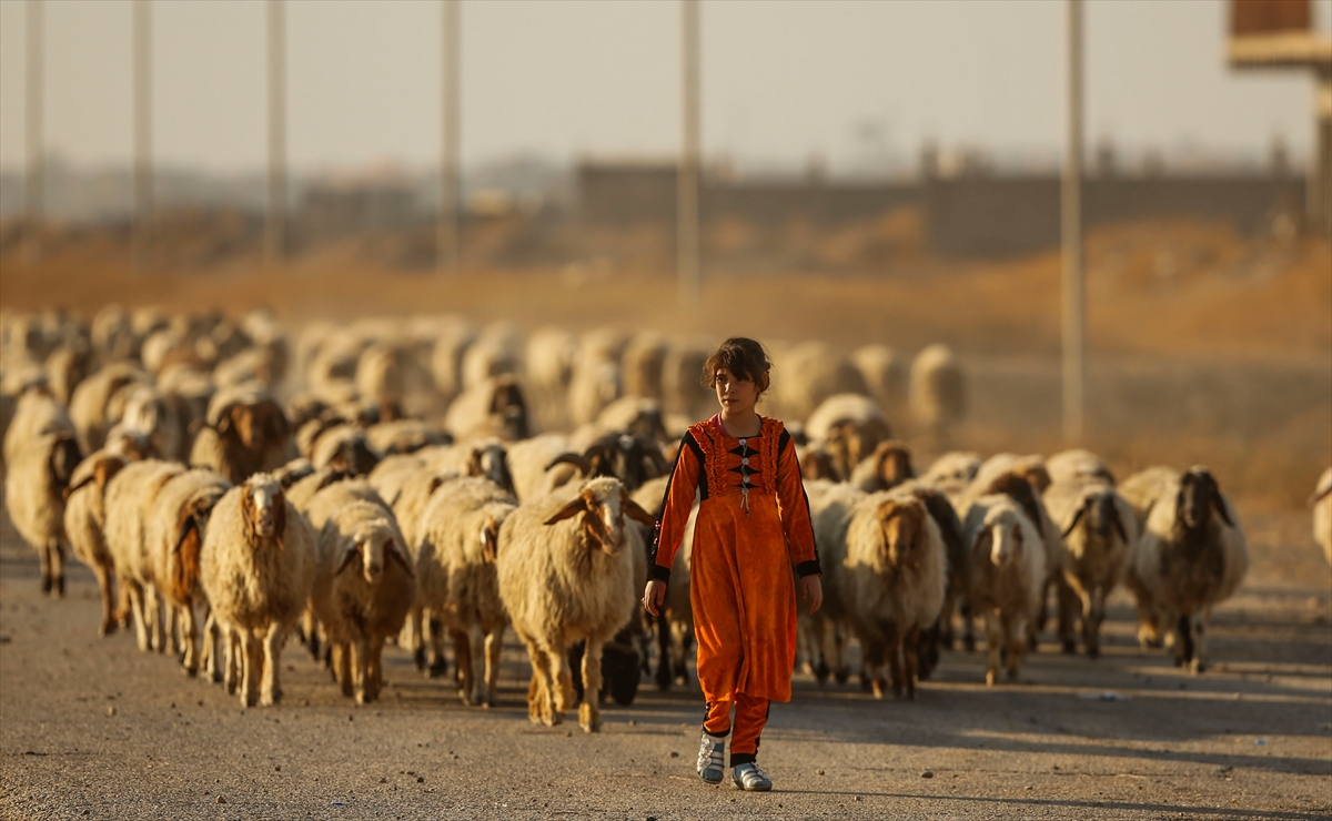 Musul'dan kaçışlar devam ediyor - 11