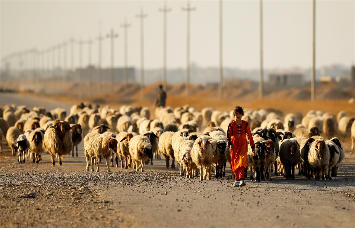 Musul'dan kaçışlar devam ediyor - 17