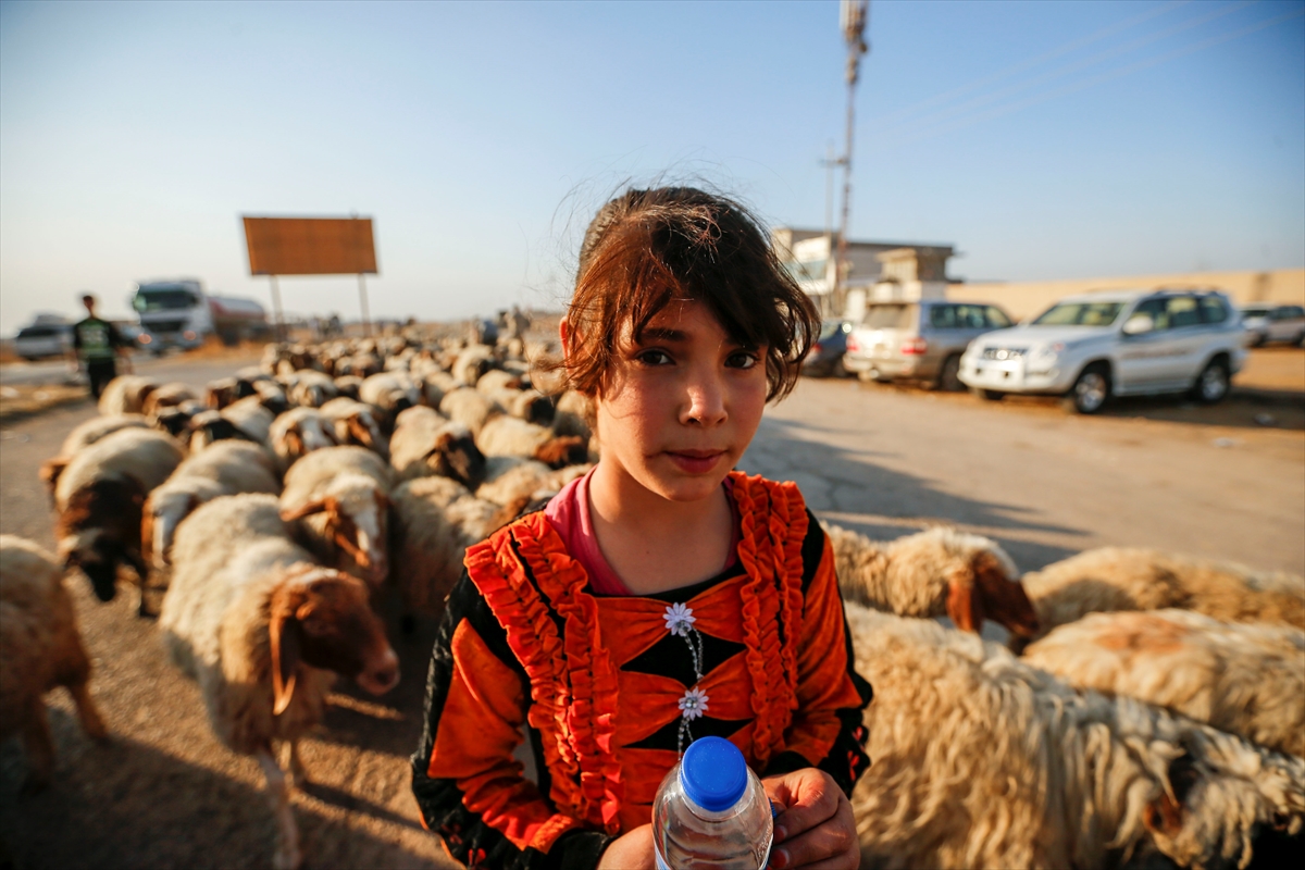 Musul'dan kaçışlar devam ediyor - 14