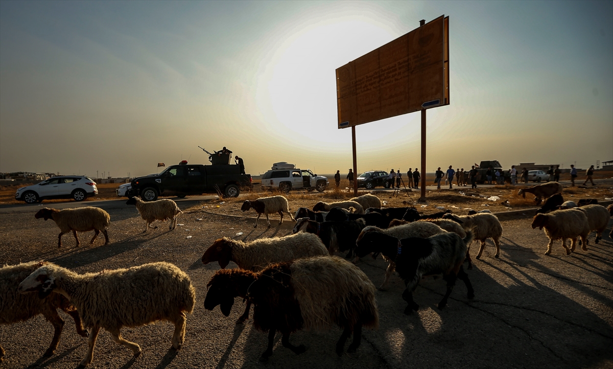 Musul'dan kaçışlar devam ediyor - 4
