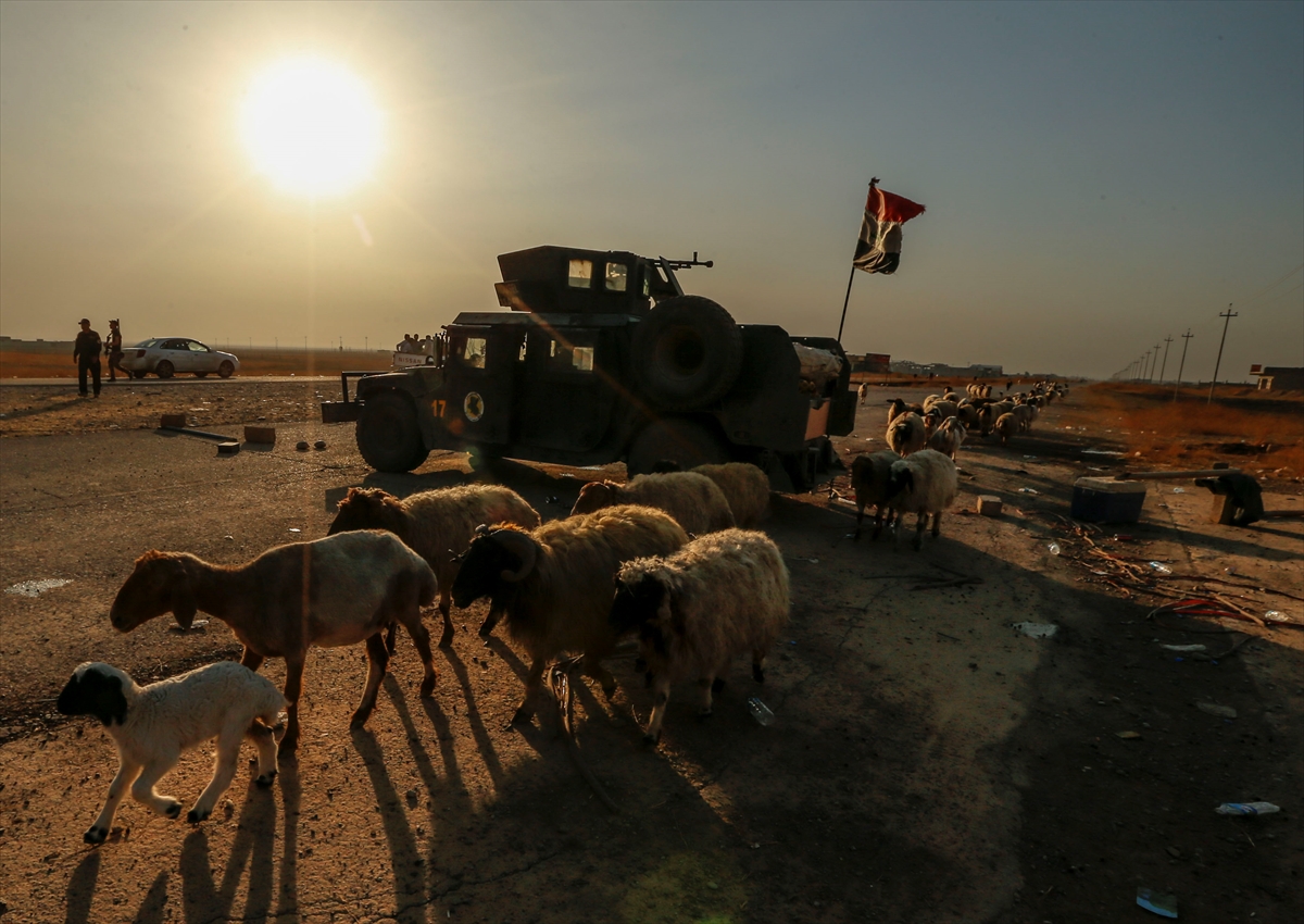 Musul'dan kaçışlar devam ediyor - 12