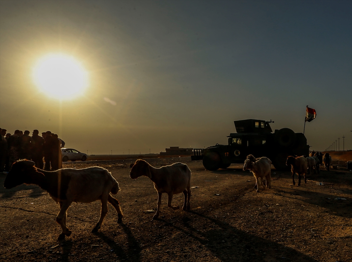 Musul'dan kaçışlar devam ediyor - 5