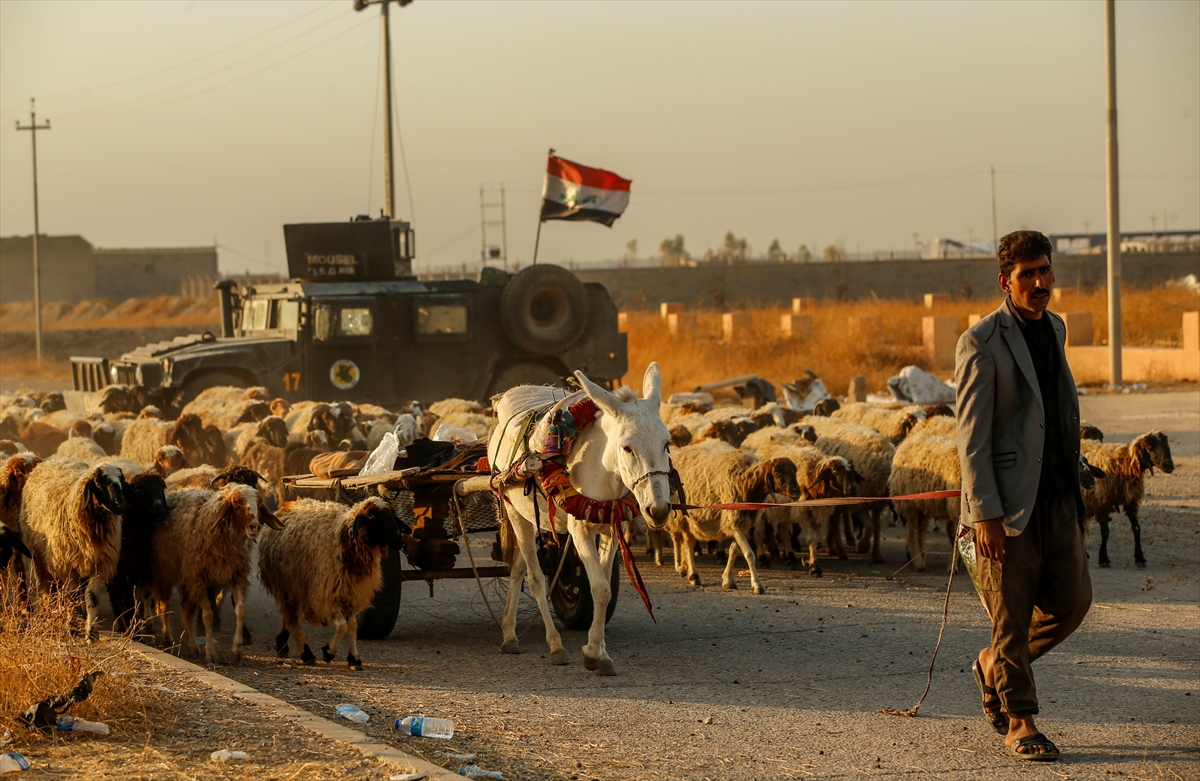 Musul'dan kaçışlar devam ediyor - 1