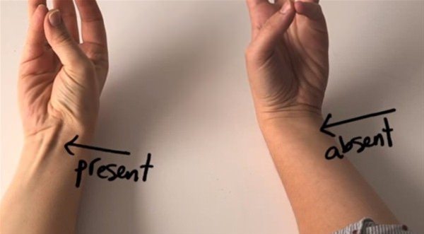 Bunları biliyor musunuz? - 11