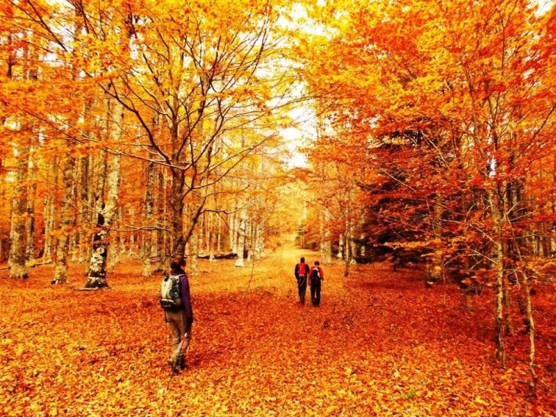 Kaz Dağları'nda sonbahar - 3