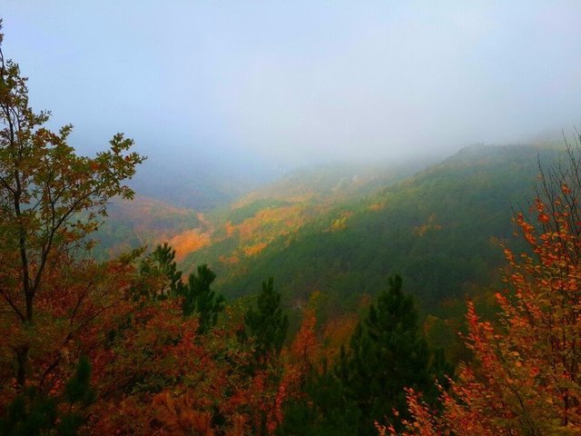 Kaz Dağları'nda sonbahar - 8