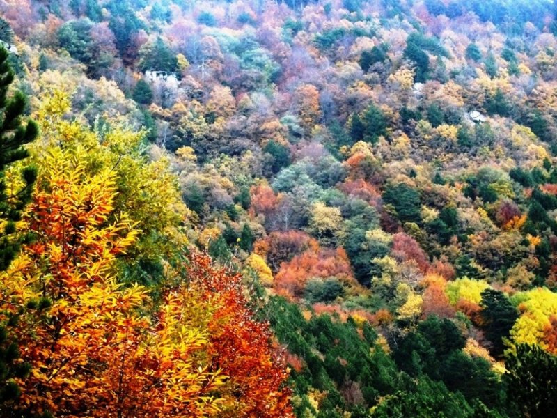 Kaz Dağları'nda sonbahar - 16