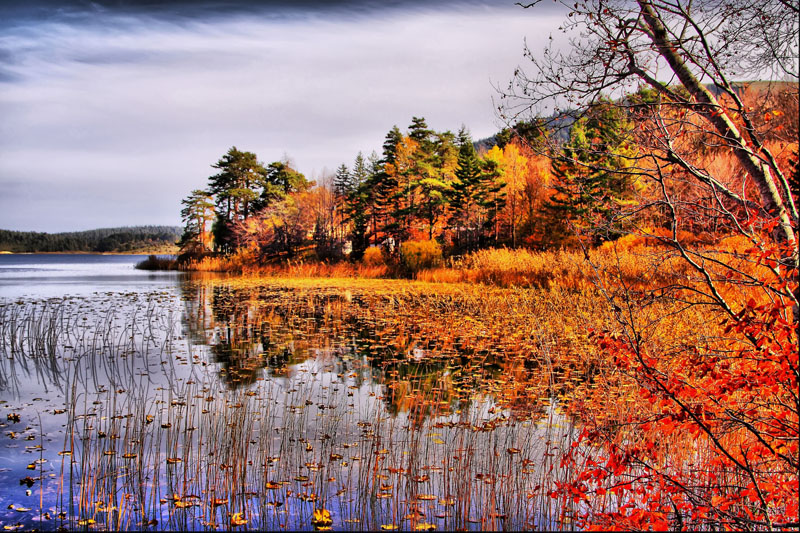 Kaz Dağları'nda sonbahar - 20