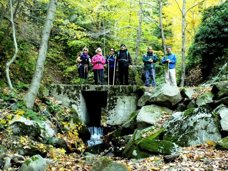 Kaz Dağları'nda sonbahar - 14