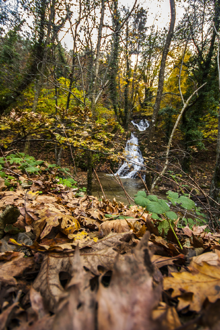 Kaz Dağları'nda sonbahar - 23